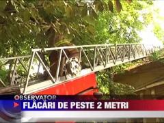 Casa unei avocate din Timisoara a fost mistuita de flacari