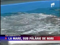 Observator de weekend