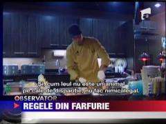 Un restaurant din Kansas a introdus in meniu carne de leu