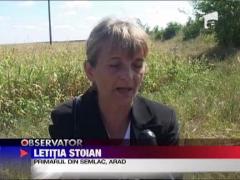 Culturile din Arad sunt distruse de seceta, desi prin judet trece un canal de irigatii