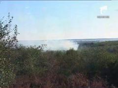 Incendiu de vegetatie in nordul Craiovei
