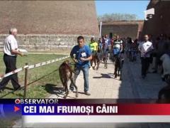 Observator de weekend