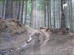 Observator 13 Weekend