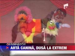 Arta canina, dusa la extrem
