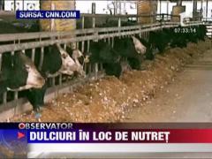 Un crescator de vite din Kentucky hraneste animalele cu dulciuri