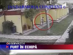 Hotii fura fara teama, la malul marii!