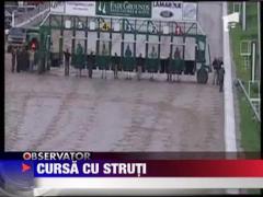 Cursa de calarit struti, in SUA
