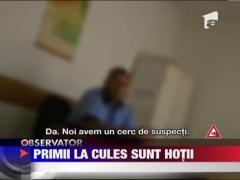 Strugurii, noua tentatie a hotilor