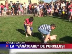Concurs de prins purcelusi la Pecica