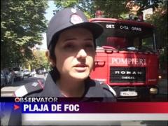 Incendiu puternic pe litoral!