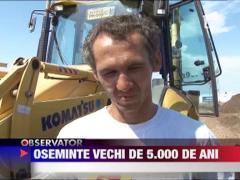 Oseminte vechi de 5000 de ani, descoperite in Prahova