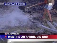 Flacarile s-au aprins din nou in munti din cauza temperaturilor caniculare
