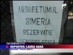 Curatenie generala in Simeria!