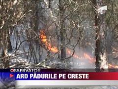 Padurile s-au aprins din nou in tara!