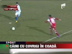 Sefii lui Dinamo baga mana adanc in buzunar!