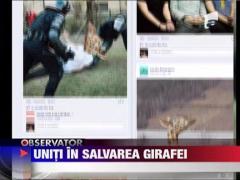 Celebra girafa distrusa in fata muzeului Antipa are cont pe Facebook