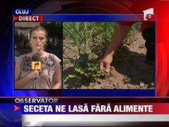 Aproape jumatate din suprafata arabila a tarii a fost distrusa de lipsa ploilor