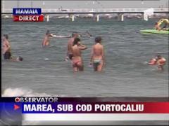Cod portocaliu de canicula pe litoral