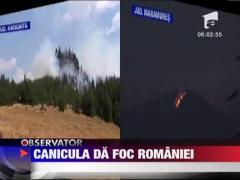 Paduri si pasuni din mai multe judete au luat foc din cauza caniculei