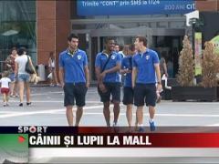 Dinamovistii si petrolistii au dat nas in nas la mall-ul din Baneasa