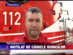 Caz cutremurator la Oravita! Copil de un an, sfasiat de cainele familiei