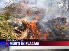 Flacarile continua sa arda in padurile din Masivul Penteleu