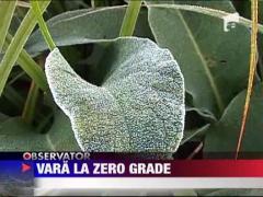 0 grade la Miercurea Ciuc