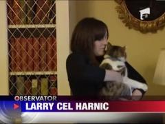 Din Larry cel Lenes a devenit Larry cel Harnic