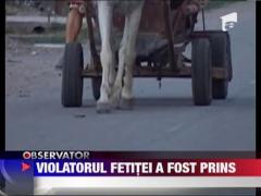 Violatorul fetitei de 5 ani a fost prins