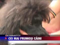 Observator 16 Weekend