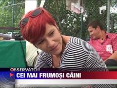 Observator 13 Weekend