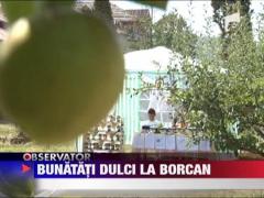 Festivalul Dulcetii la Brebu