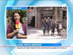 Peste noua mii de mineri vor primi prime pentru muraturi