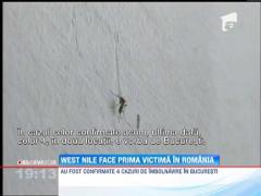 Virusul West Nile face victime in Romania
