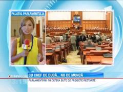 Parlamentarii, cu gandul la vacanta