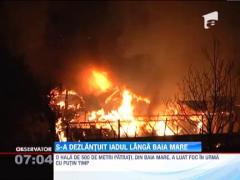 O hala din Baia Mare a fost cuprinsa de flacari