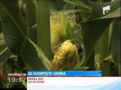 UPDATE / Carnea si ouale se scumpesc cu pana la 20%