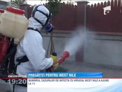 Numarul cazurilor de infectii cu virusul West Nile a ajuns la 11