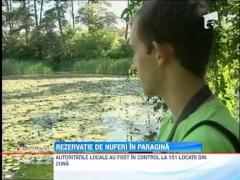 Rezervatia de nuferi din 1 Mai, lasata in paragina