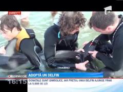 Observator 16 Weekend