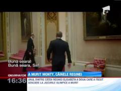 Doliu la Palatul Buckingham! Unul dintre cainii Reginei Elisabeta a doua a murit