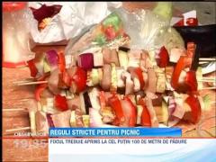 Reguli stricte pentru picnic