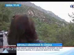 Rafuiala sangeroasa in Corsica