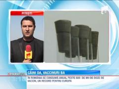 Stocurile de vaccin antirabic au fost epuizate in mai multe spitale din tara