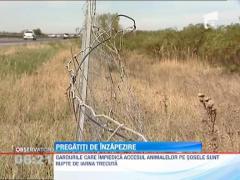 Vom ramane inzapeziti la iarna! Nicio autostrada din Romania nu are contract de deszapezire!