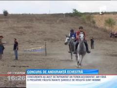 Concurs pentru calareti la Bistrita Nasaud