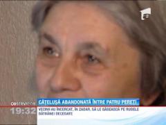 Catelusa abandonata intr-un apartament din Capitala