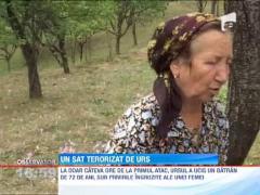 Om ucis de un urs intr-o comuna damboviteana