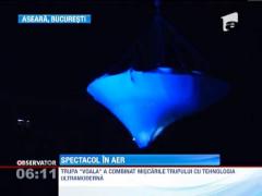 Spectacol de acrobatie aeriana in Bucuresti