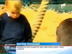 Prietenie neobisnuita intre un copil de un an si jumatate si o gorila